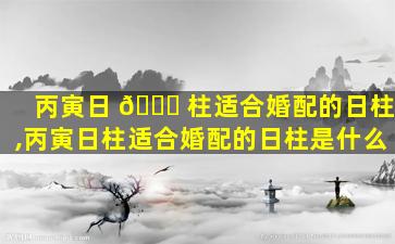 丙寅日 🐅 柱适合婚配的日柱,丙寅日柱适合婚配的日柱是什么